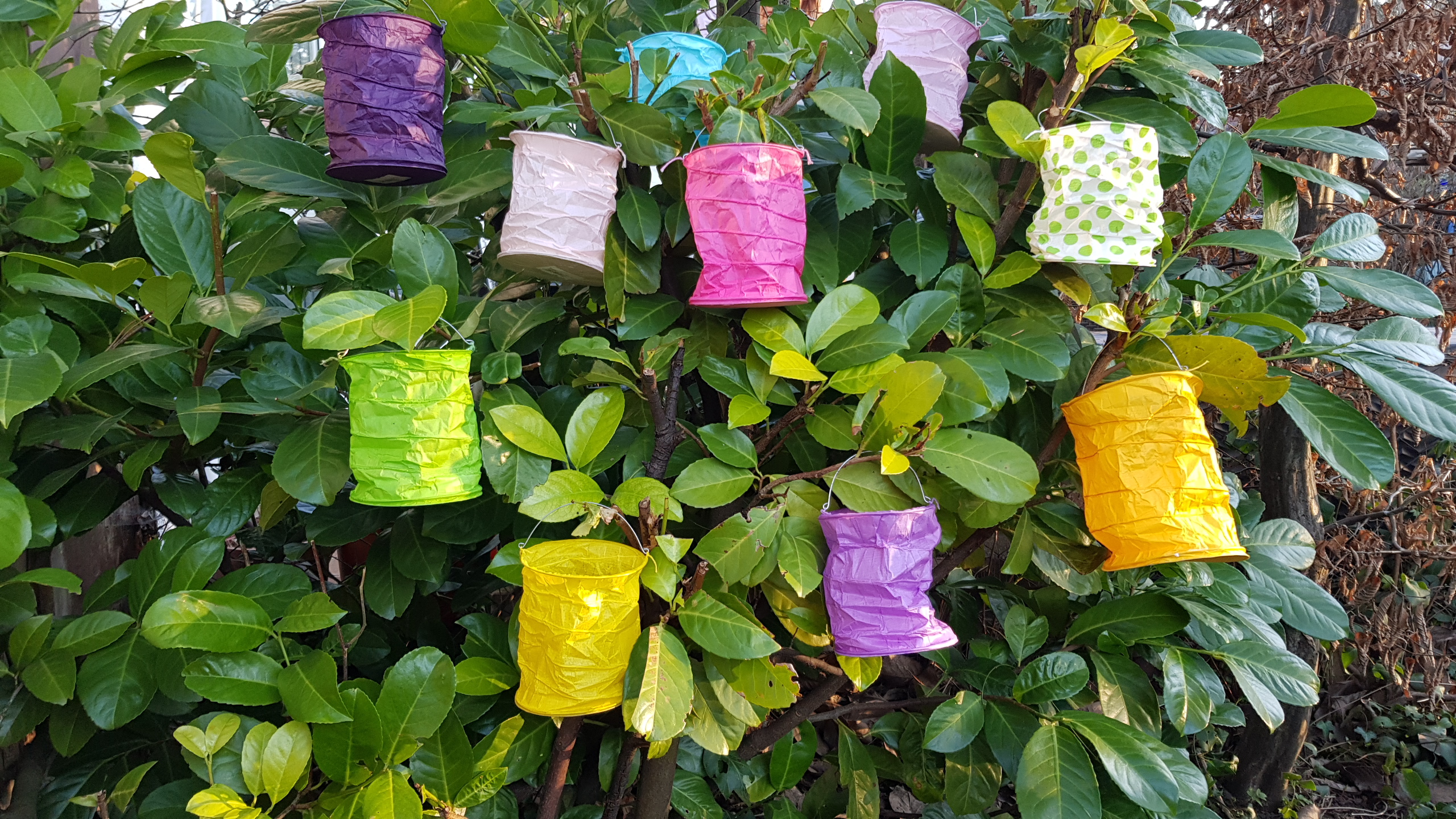 20220313_171230Vv3H6tCwwUNLb Detailansicht