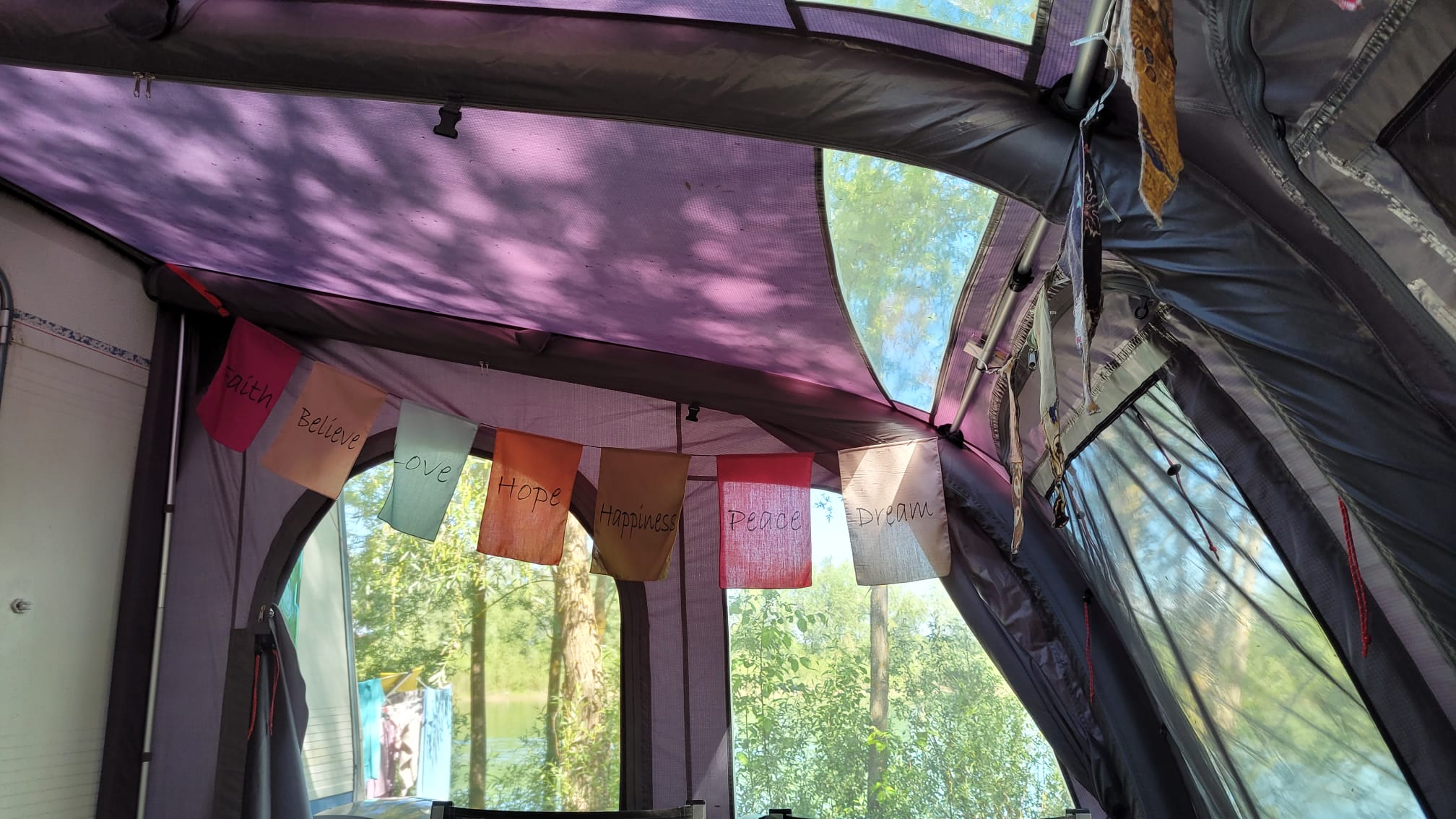 IMG-20240526-WA0000 Detailansicht