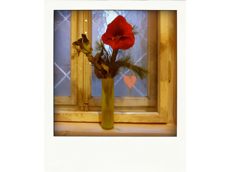 818_3 Detailansicht