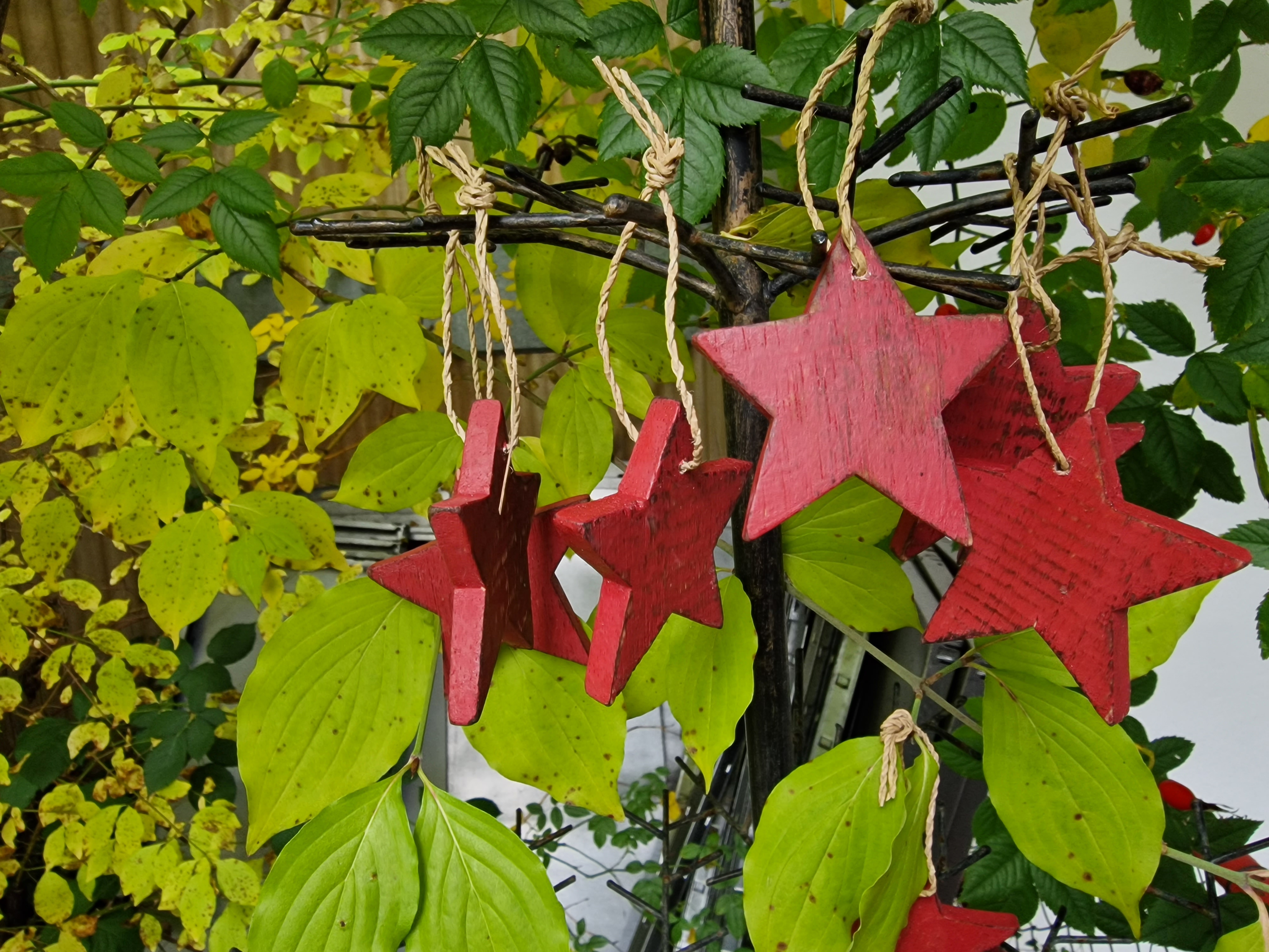 Detailansicht