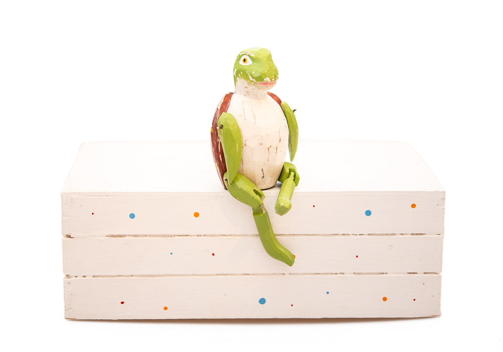 Schildkroete Detailansicht