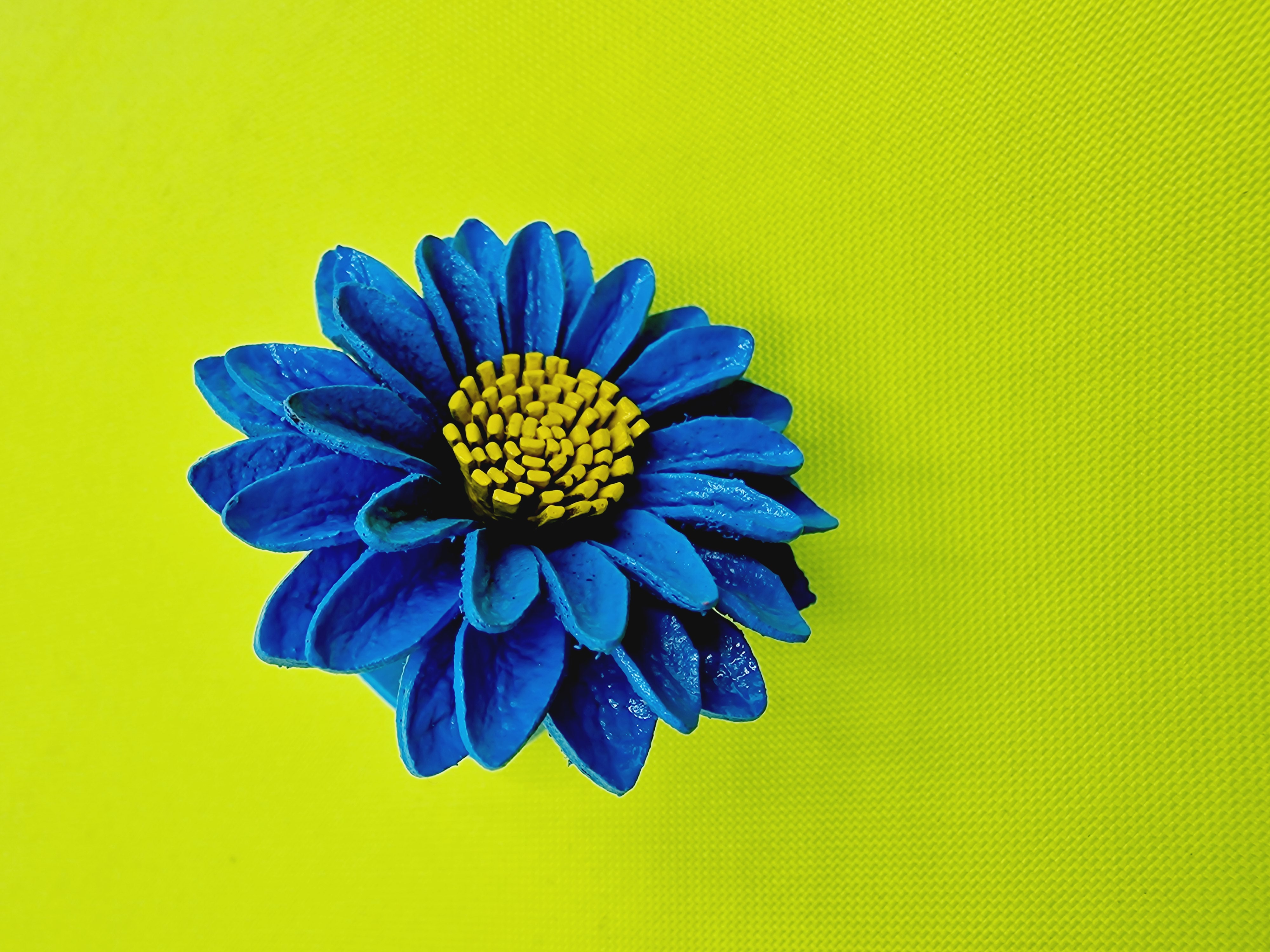 20230808_182908 Detailansicht