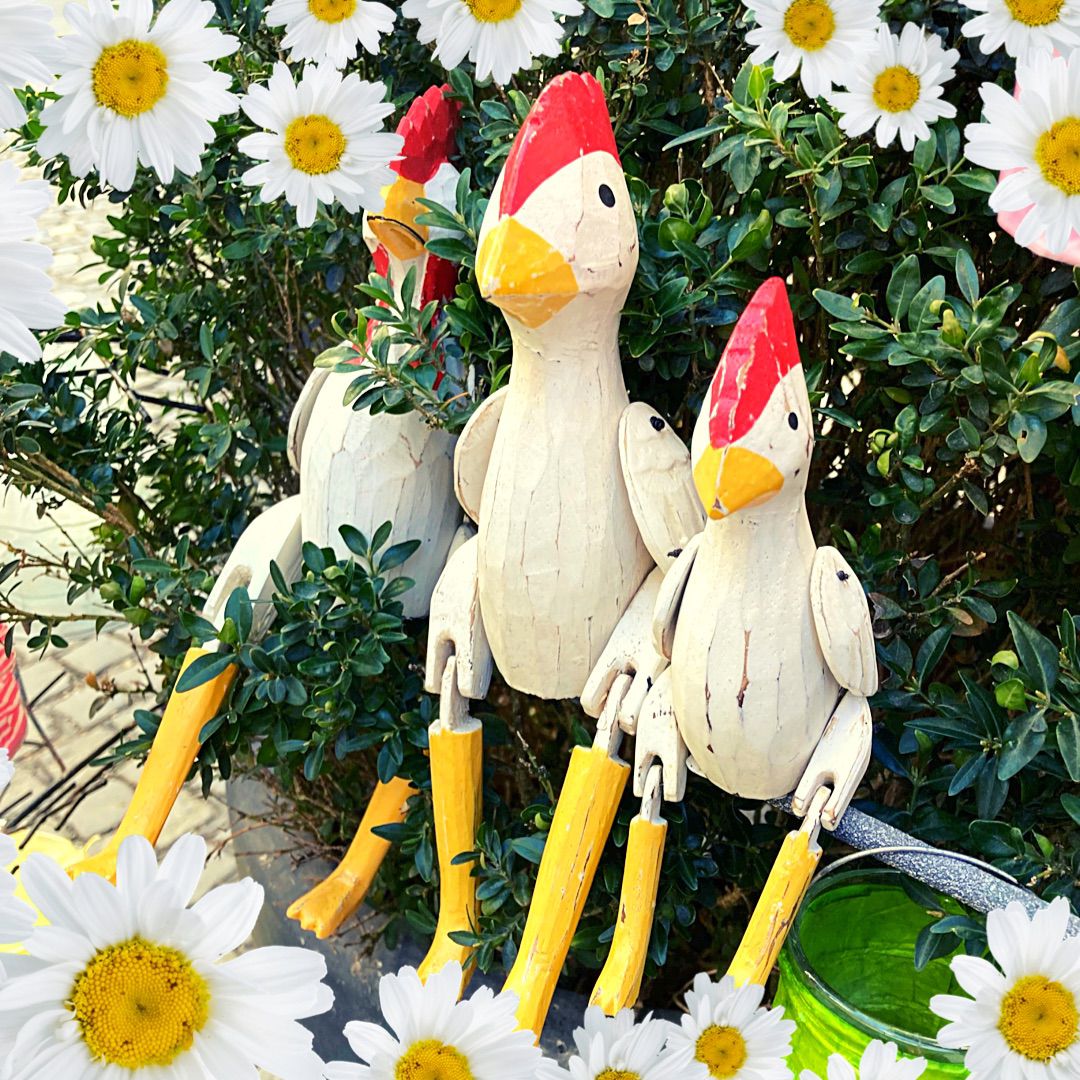 IMG-20230221-WA0011 Detailansicht