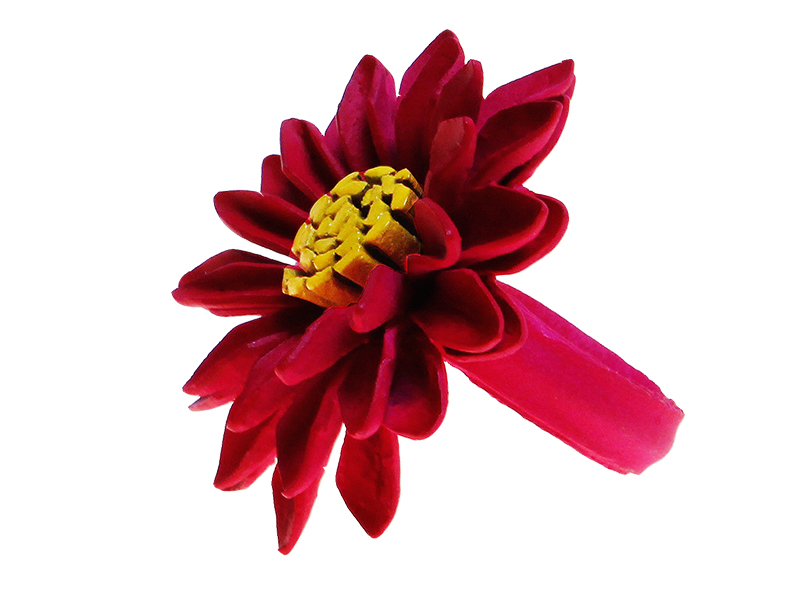 2618_1 Detailansicht