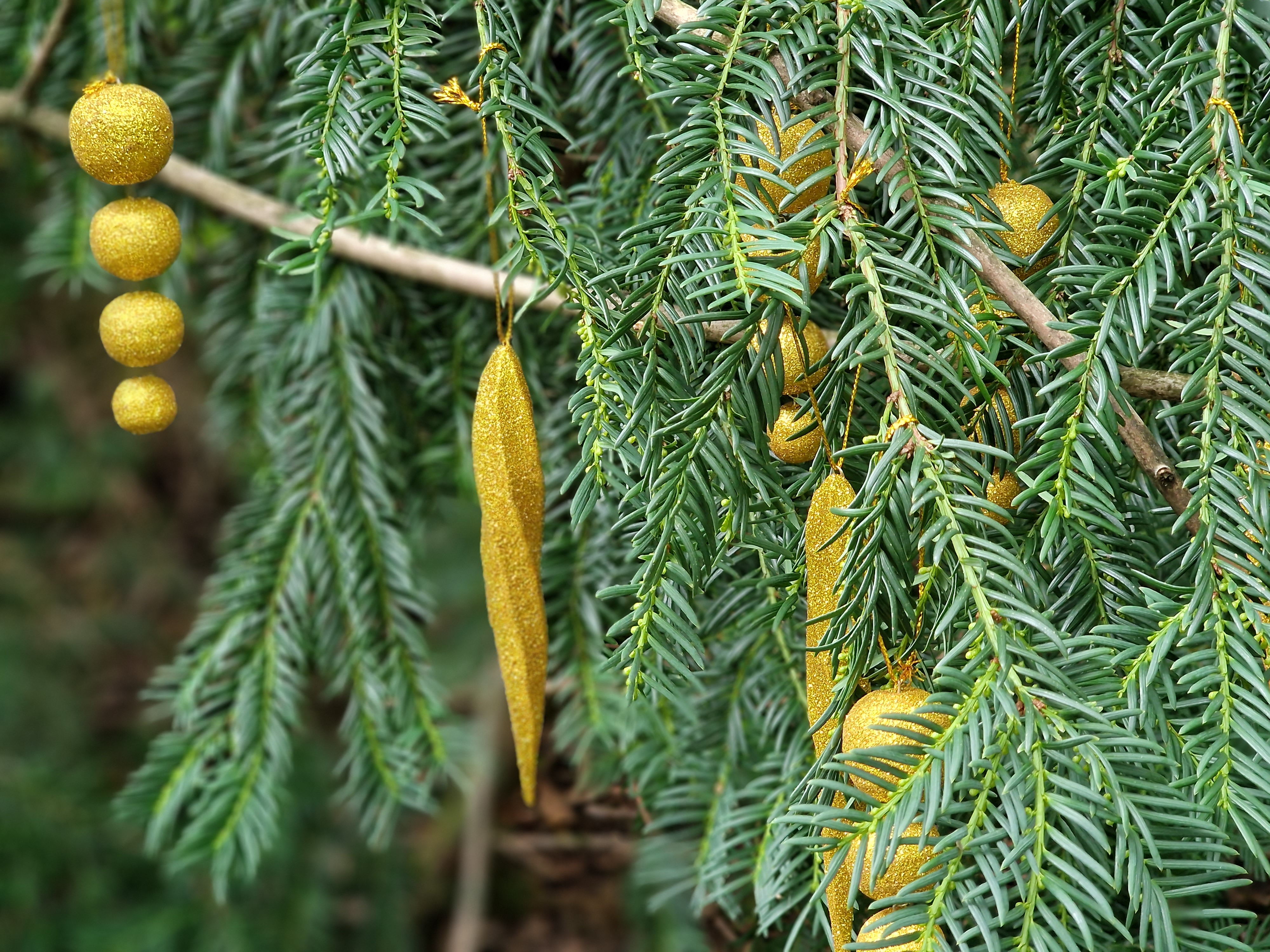 20230915_101242 Detailansicht